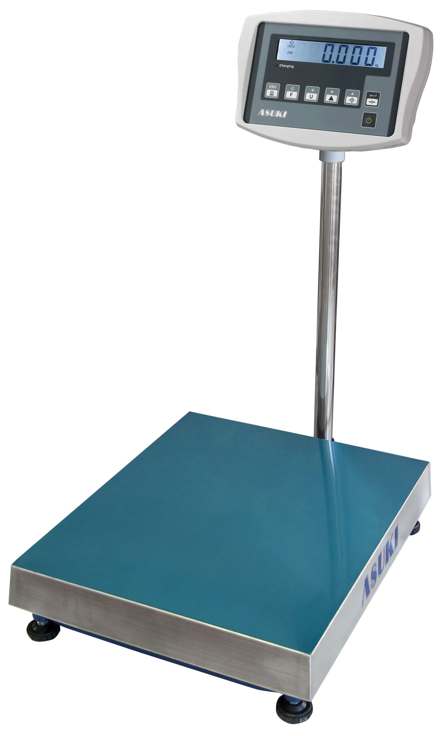 Fuji 2,000 kg Hand Pallet Scale, FDPS Series